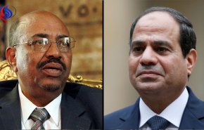 فورين بوليسي: نظام السيسي لا استراتيجية له