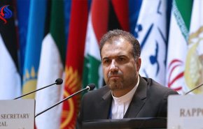 اتحاد برلمانات منظمة التعاون الاسلامي: فلسطين، أهم اولوية