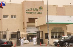 السعودية تمنع أزواج مواطناتها من ممارسة هذه المهن..