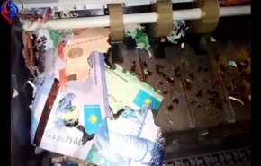بالفيديو.. فئران تنهش أموال الصراف الآلي في كازاخستان!