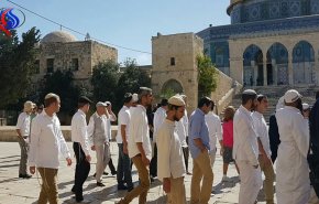 الاحتلال يخطط للسماح باقتحام الأقصى من كل الأبواب