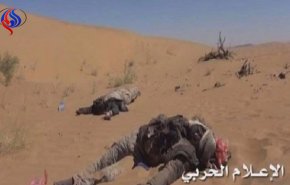 عشرات القتلى والجرحى من المرتزقة بعمليات قصف في ميدي والجوف