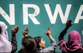 فلسطين.. حماس تدعو العالم إلى دعم 