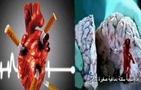 هذا ما تفعله سيجارة واحدة فقط يوميًا في قلبك!