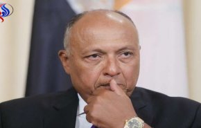 سامح شكري يعلق على إمكانية دخول مصر في حرب مع دول أخرى