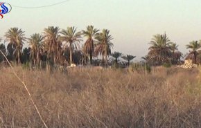بالصور.. العثور على 