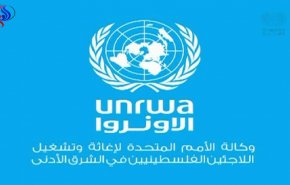 بالفيديو وبالصور.. هكذا رد موظفو 