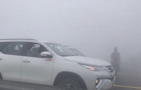 فيديو مروع عن حادث سير ضخم في أبوظبي بسبب الضباب!!