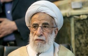 آية الله جنتي:الأعداء لايريدون للشعب الاحتفال بانتصاره
