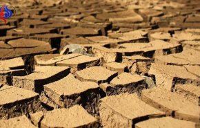الأمم المتحدة تحذر من فقدان مصر نصف مساحة الدلتا