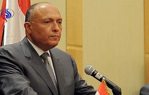 شكري: أي تدخل عسكري بسوريا تقويض لفرص الحل السياسي