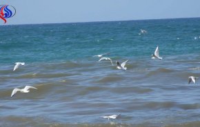صرخة فلسطيني أمام بحر غزة تشعل مواقع التواصل..