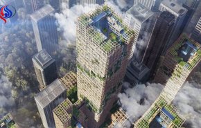 شركة يابانية تخطط لبناء أطول ناطحة سحاب خشبية في العالم