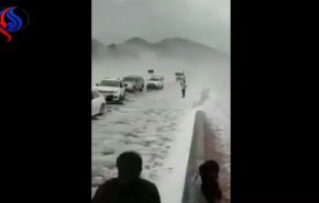 شاهد بالفيديو: ماذا فعل تساقط 