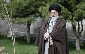 مسئولان مانع از بین رفتن درختان و باغات موجود در شهرها شوند/ برخی به‌دنبال دست‌اندازی به باغ‌ها و باغستان‌های تهران هستند