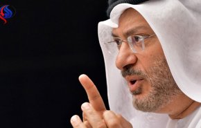  قرقاش يكشف رأي الشيخ زايد بإزاحة أمير قطر السابق أبيه