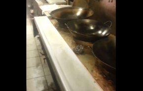 بالفيديو.. مطعم صيني يثير غضب المتابعين بمواقع التواصل!