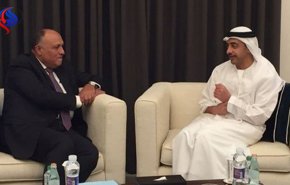 وزيرا خارجية مصر والإمارات يبحثان القضايا الإقليمية بالقاهرة