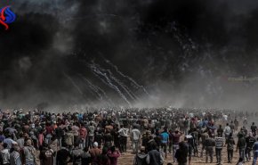 أكاديمي إماراتي: بن سلمان إلى زوال!