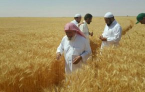 تعرف على حجم الإستثمارات السعودية بالسودان