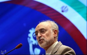 صالحي: قمنا بتحديث مفاعل طهران للأبحاث بقدرات وطنية