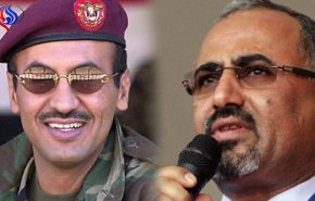 تفاصيل لقاء سري جمع الزبيدي بأحمد علي صالح في أبو ظبي 