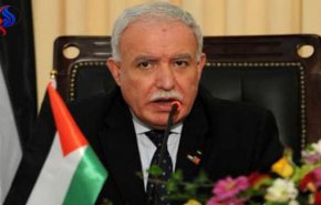 فلسطين ترحب بقرار الجنائية الدولية إجراء 