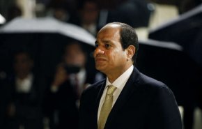 السيسي يلتقي أعضاء من 