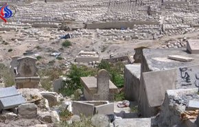 بالفيديو...مستوطنون صهاينة يعتدون على مقبرة قرب المسجد الاقصى