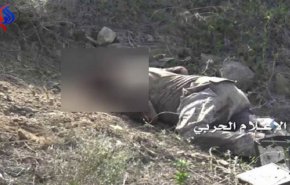 الإعلام السعودي يقر بمقتل 6  من جنوده في جبهات الحدود
