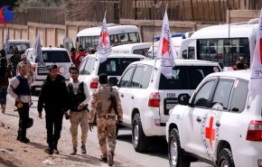 مسؤولة هولندية تطالب حكومة بلادها بإعادة أبناء المسلحين من سوريا
