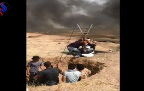 بالفيديو/مقاومة الفلسطينيين باسلوب جديد خلال مسيرات العودة

