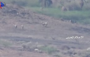 شاهد؛ مرتزقة السعودية يجرون اذيال هزيمتهم في تعز