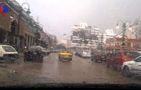 خبير: 