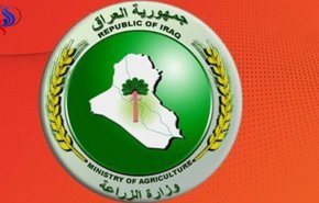 خمسة أصناف من الخضراوات منع العراق استيرادها..ماهي ؟؟