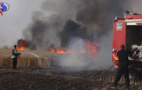 الطائرات الورقية الحارقة تشعل الحدود على تخوم غزة