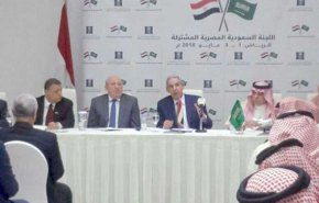 السعودية تستحوذ على 22% من الاستثمارات العربية في مصر