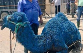 انتشار 