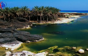 سقطرى.. جزيرة ثرواتها تسيل لعاب الإمارات