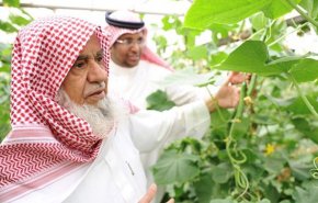 هذا ما فعله محمد بن سلمان بوقف الراجحي