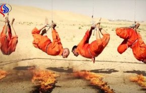 الكشف عن أعداد ضحايا 