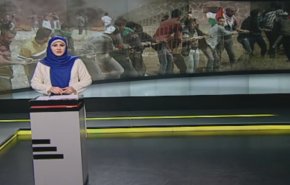نشرة بانوراما: 