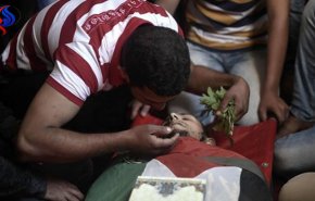 ارتفاع عدد الشهداء إلى 61 فلسطينيا
