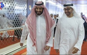 صحيفة تركية: ابن زايد 