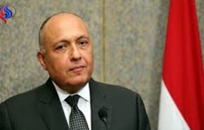 «شكري» يشارك في قمة التعاون الإسلامي بإسطنبول 