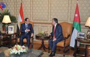 السيسي والعاهل الأردنى يتفقان على تكثيف الجهود تجاه قضية فلسطين