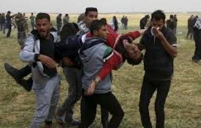 شهيدان فلسطينيان اخران في غزة+(فيديو)