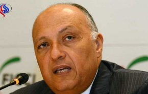 مصر وتونس والجزائر تؤكد رفضها أي تدخل خارجي في شؤون ليبيا
