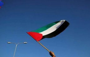 فيديو وصور.. مدن فرنسية ترفع علم فلسطين على مبانيها