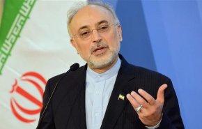 صالحي: بدانا تخصيب النظائر المشعة المستقرة بدعم من روسيا